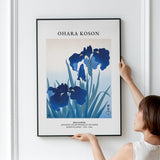 Ohara Koson Iris Flower