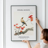 Ohara Koson Japanese Plague Bird On Maple