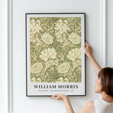 William Morris plakat med krysantemum mønster, 1887, hængt op på en hvid væg.
