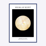 Hilma af Klint No 14 Swan