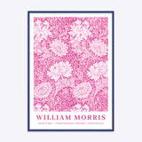 William Morris Chrysanthemum (Pink Edit)