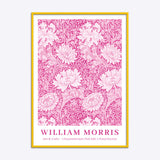 William Morris Chrysanthemum (Pink Edit)