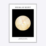 Hilma af Klint No 14 Swan