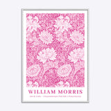 William Morris Chrysanthemum (Pink Edit)