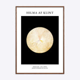 Hilma af Klint No 14 Swan