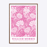 William Morris Chrysanthemum (Pink Edit)