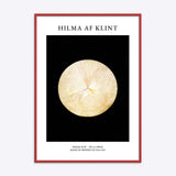 Hilma af Klint No 14 Swan