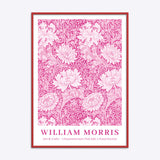 William Morris Chrysanthemum (Pink Edit)