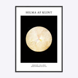 Hilma af Klint No 14 Swan