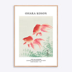 Plakat med to guldfisk af Ohara Koson, japansk farvetræsnit på papir, lavet i Japan, 1926, indrammet i naturtræsramme.