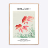 Plakat med to guldfisk af Ohara Koson, japansk farvetræsnit på papir, lavet i Japan, 1926, indrammet i naturtræsramme.