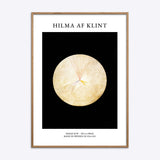 Hilma af Klint No 14 Swan