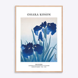 Ohara Koson Iris Flower