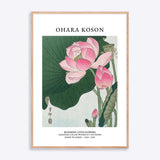 Ohara Koson Blooming Lotus
