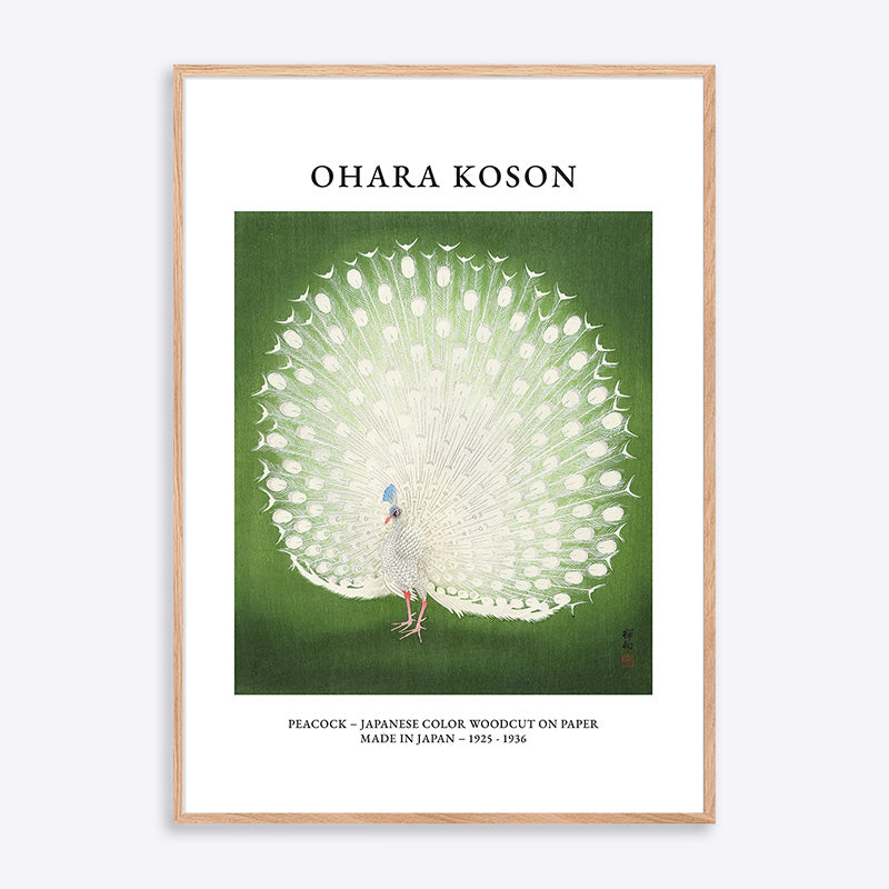 Ohara Koson - Påfugl plakat i træramme, japansk farvetræsnit, grøn baggrund.