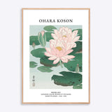 Ohara Koson Water Lily