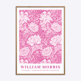 William Morris Chrysanthemum (Pink Edit)