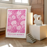 William Morris Chrysanthemum (Pink Edit)