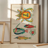 Plakat med farverige illustrationer af krabber og fisk, placeret på et gulv med skygger fra et vindue.