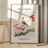 Ohara Koson Japanese Plague Bird On Maple
