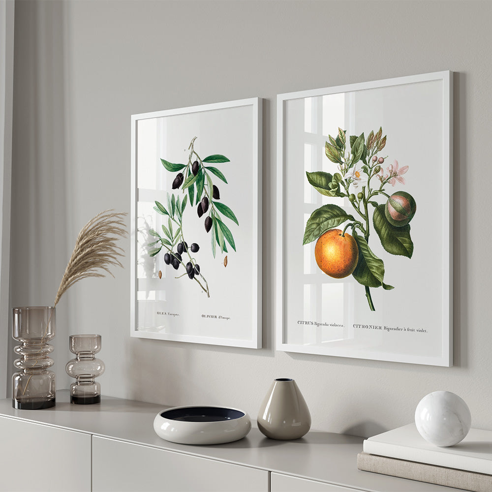 Plakatvæg i stue med vaser på væghængt skab. Over skabet hænger 2 plakater i hvid ramme med Olive Branch (oliven) og Citrus plante.