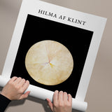 Hilma af Klint No 14 Swan