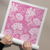 William Morris Chrysanthemum (Pink Edit)