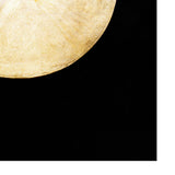 Hilma af Klint No 14 Swan