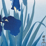 Ohara Koson Iris Flower