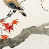 Ohara Koson Japanese Plague Bird On Maple