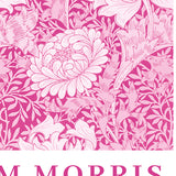 William Morris Chrysanthemum (Pink Edit)