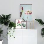 Plakater med botaniske motiver på en hvid skænk, omgivet af grønne planter.