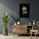 Plakat med en botanisk illustration af en rosa indica cruentra blomst på sort baggrund, hængende på en væg i en stilfuld stueindretning.