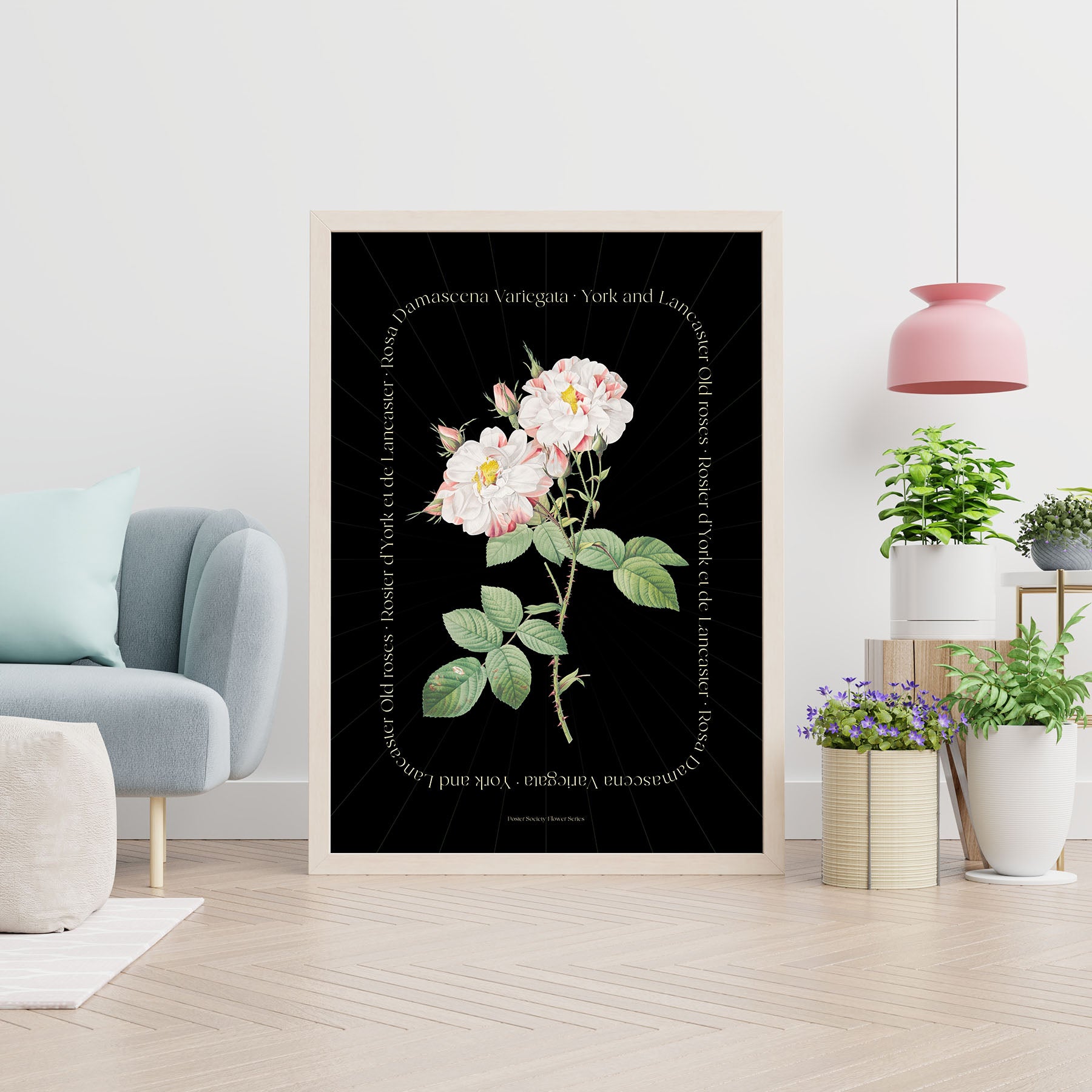 Plakat med blomstermotiv fra "Flower Series" af York and Lancaster, sort udgave, i en moderne stueindretning.