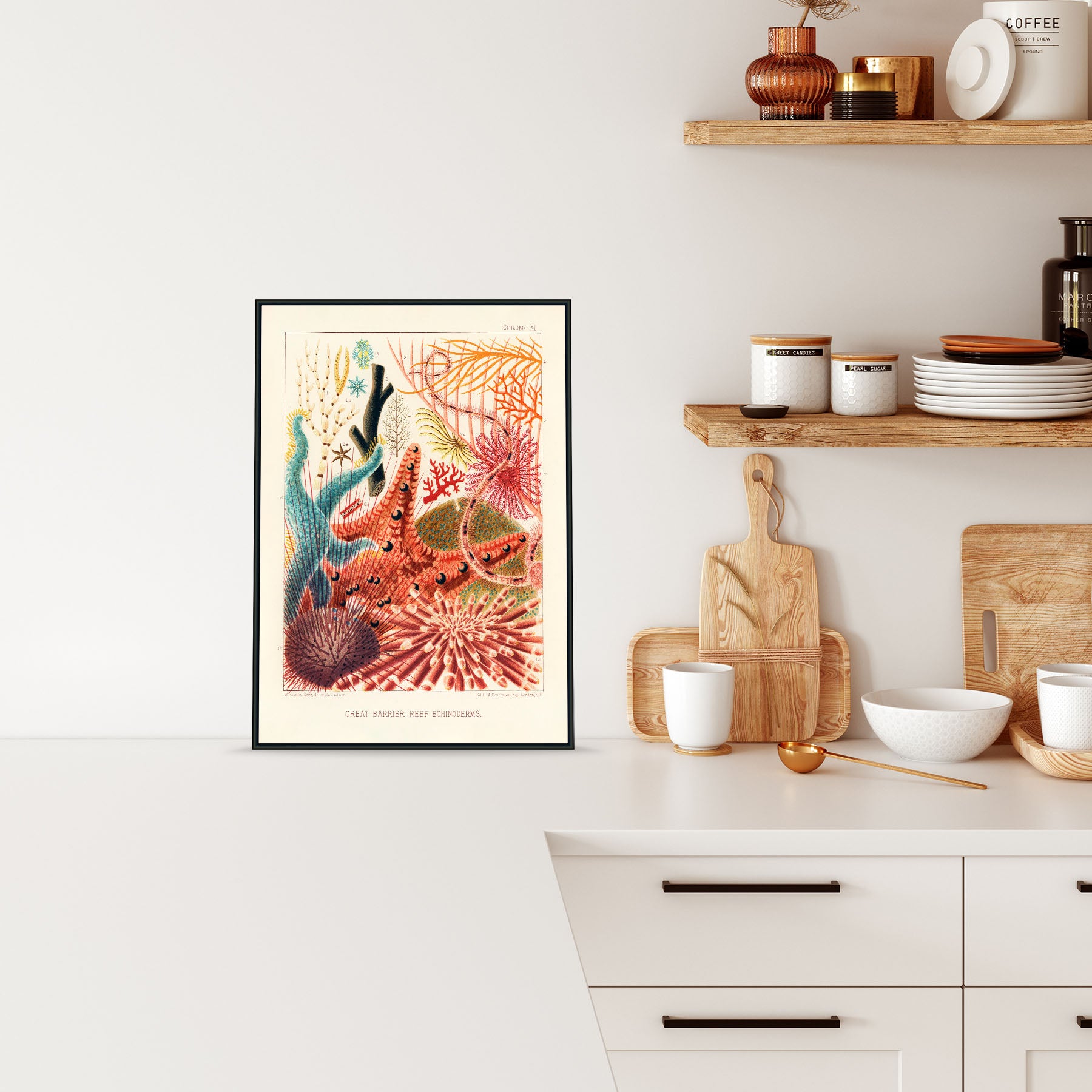Plakat med farverigt motiv af Great Barrier Reef Enchinoderms, hængende i et moderne køkkenmiljø.