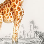 Illustration af en giraf med detaljerede pletter i forgrunden og flere giraffer samt palmer i baggrunden.