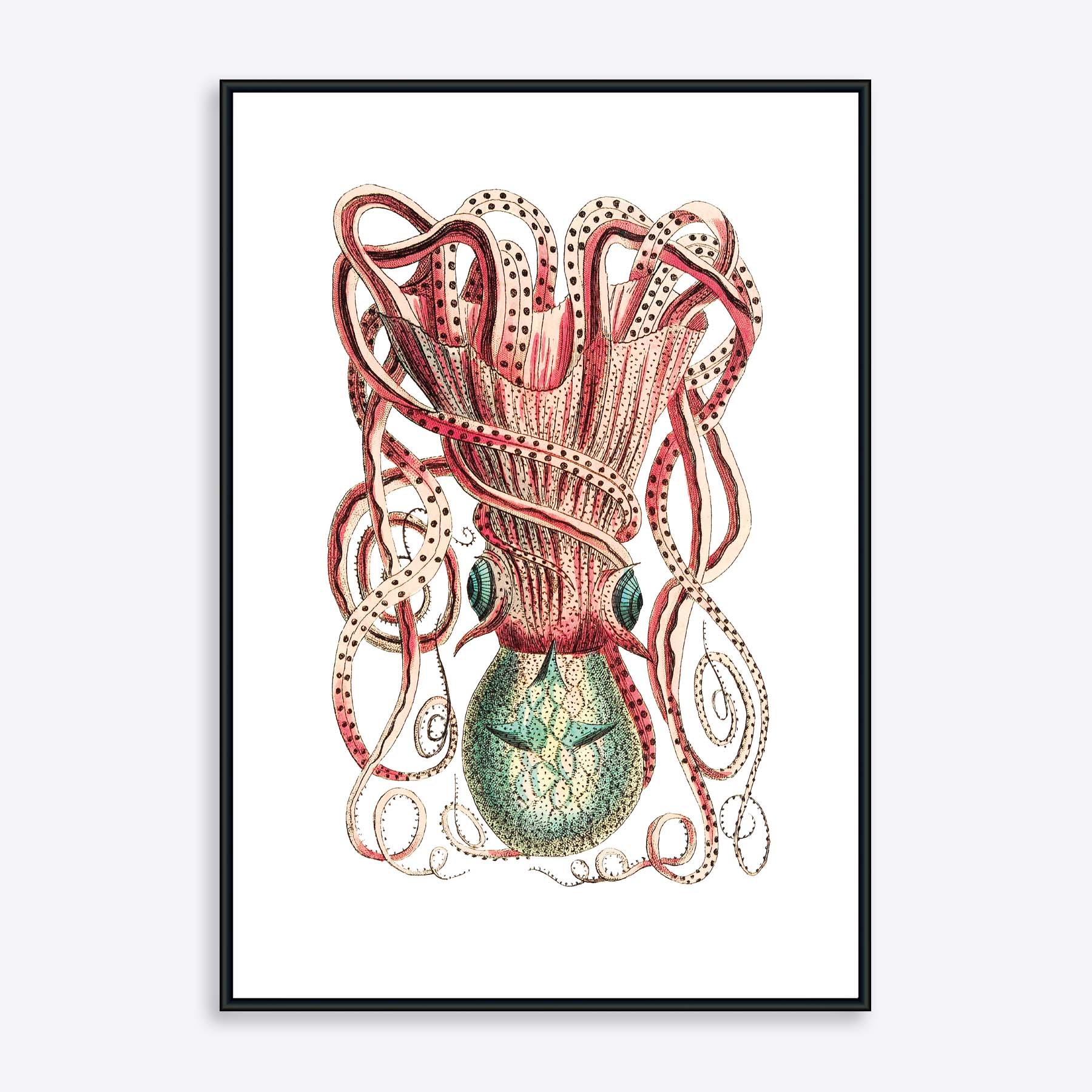 Plakat med en detaljeret illustration af en blæksprutte i vintage stil, indrammet i sort.