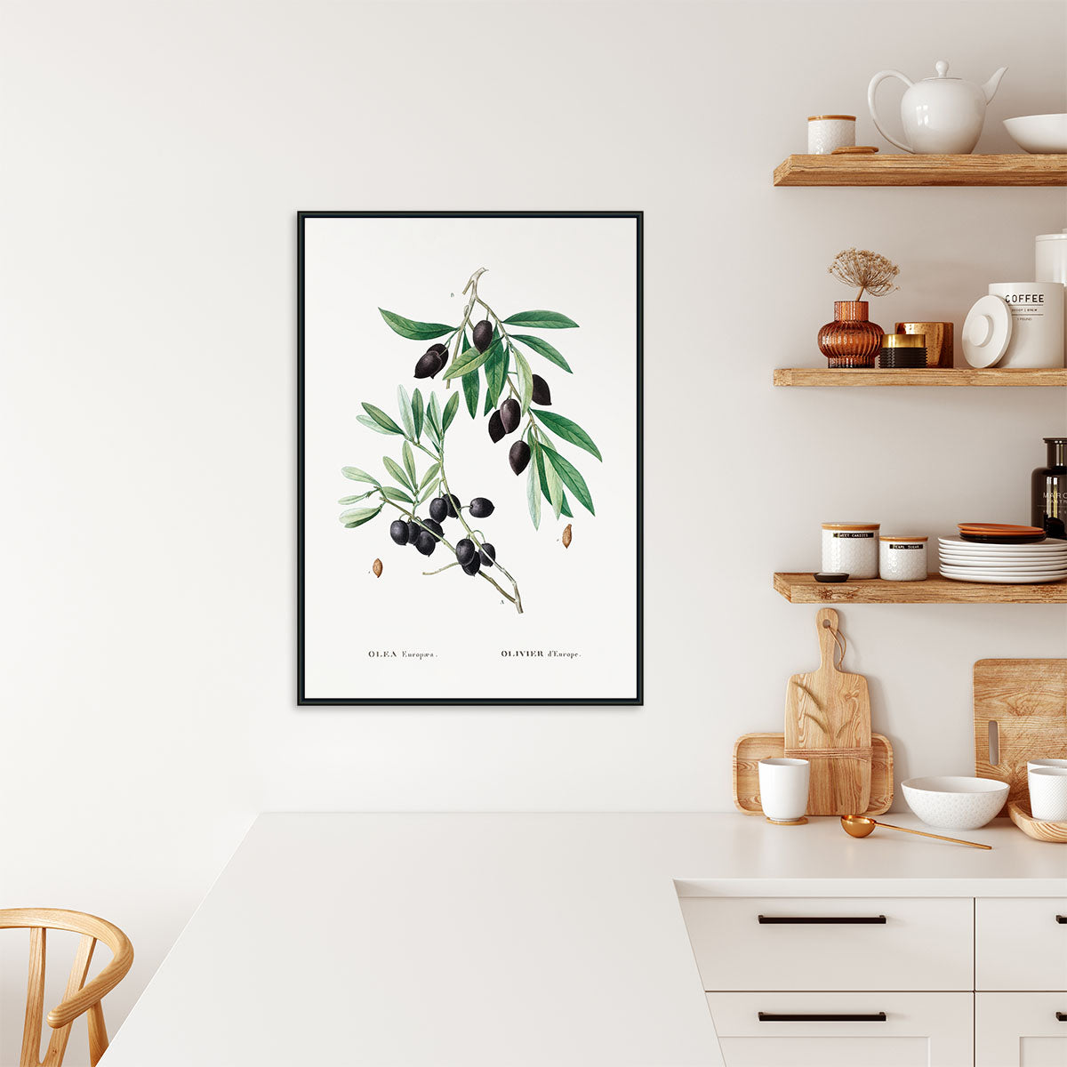 Plakat med illustration af en olivengren, hængende i et moderne køkkenmiljø.