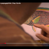 Plakat af en papegøjefisk (Scarus Vetula) fra "Nak & Æd".