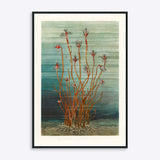 Plakat med illustration af tang og havplanter i blå og orange nuancer, indrammet.