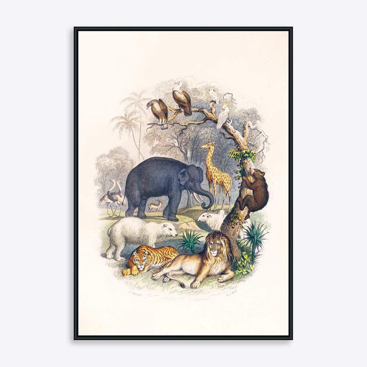 Plakat med vilde dyr, herunder elefant, giraf, løve og tiger, illustreret i en naturlig scene.