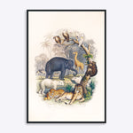 Plakat med vilde dyr, herunder elefant, giraf, løve og tiger, illustreret i en naturlig scene.