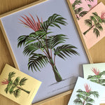 Pastelfarvede plakater