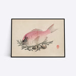 Rosa Fish illustration plakat i ramme