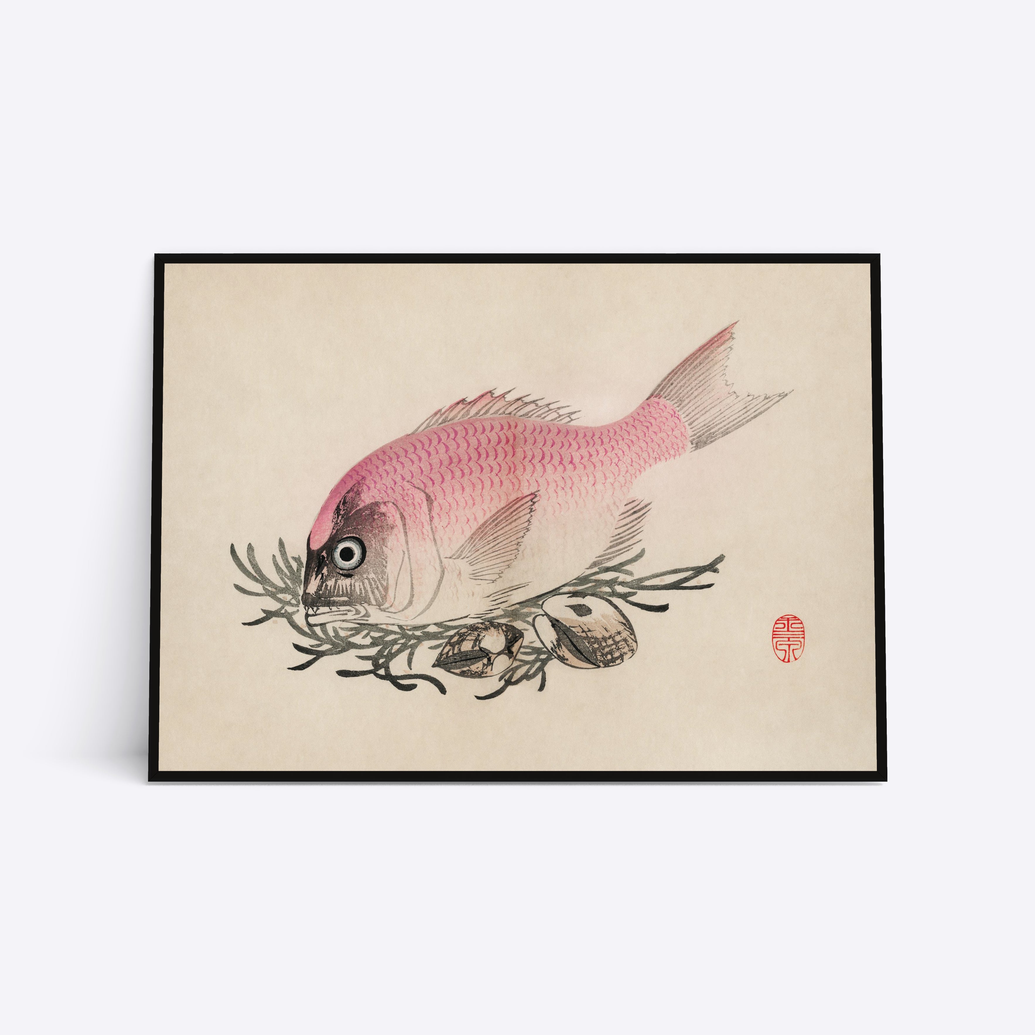Rosa Fish illustration plakat i ramme
