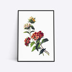 Blomstermotiv plakat med farverige blomster på hvid baggrund.