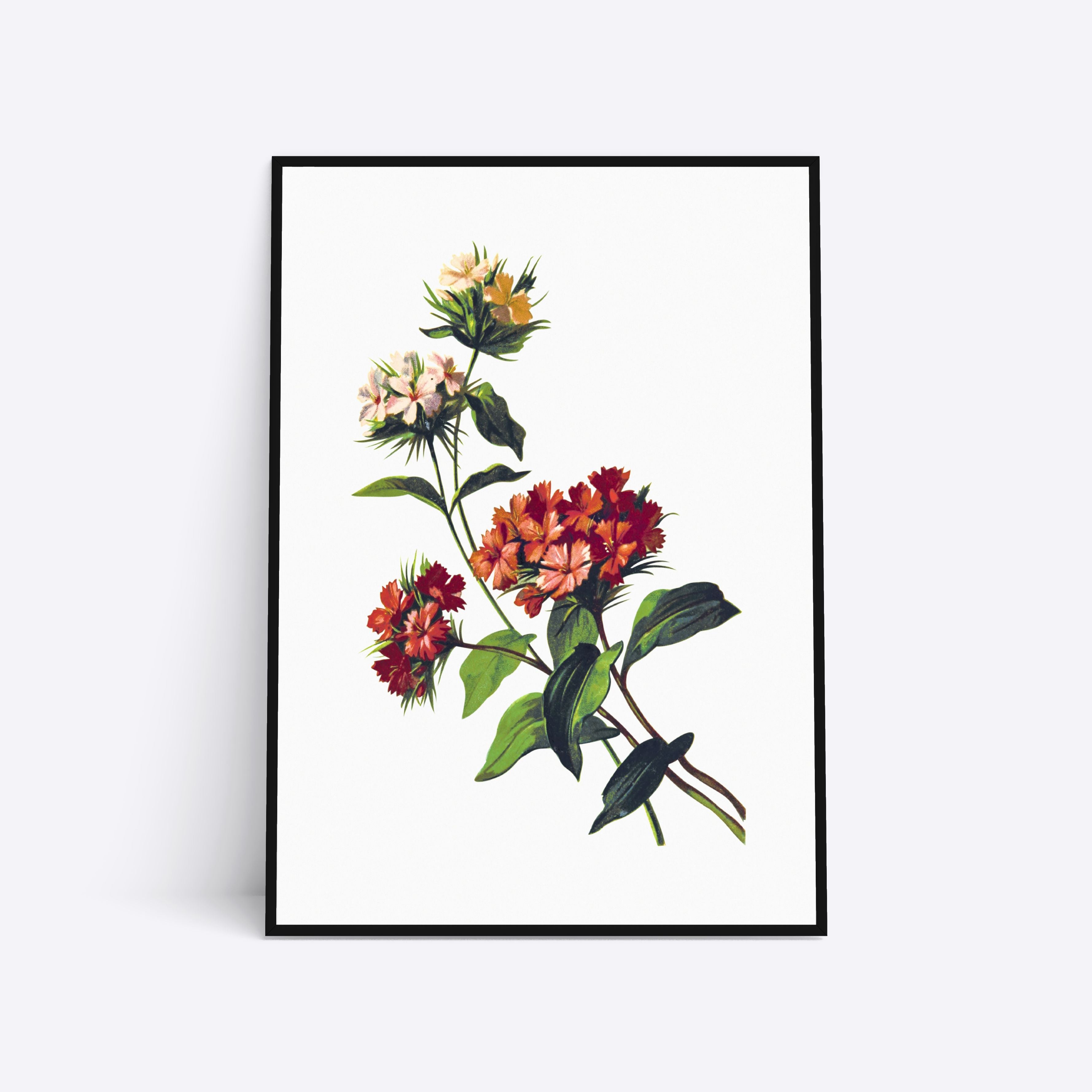 Blomstermotiv plakat med farverige blomster på hvid baggrund.