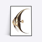 Plakat med en detaljeret tegning af en fisk, minimalistisk design, sort ramme.