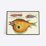 Paradys-vilch and more illustration plakat i ramme