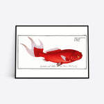 Telescope Eyes plakat i ramme